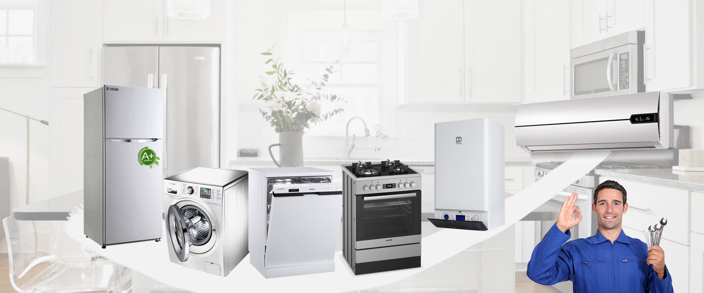 Yahyalı Electrolux Servisi